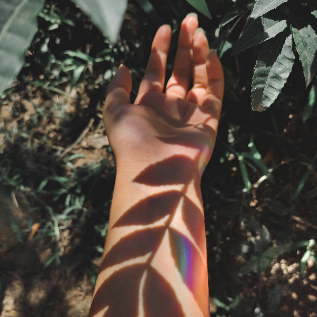 summer holistic practices